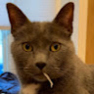 Meet your Posher, Mia